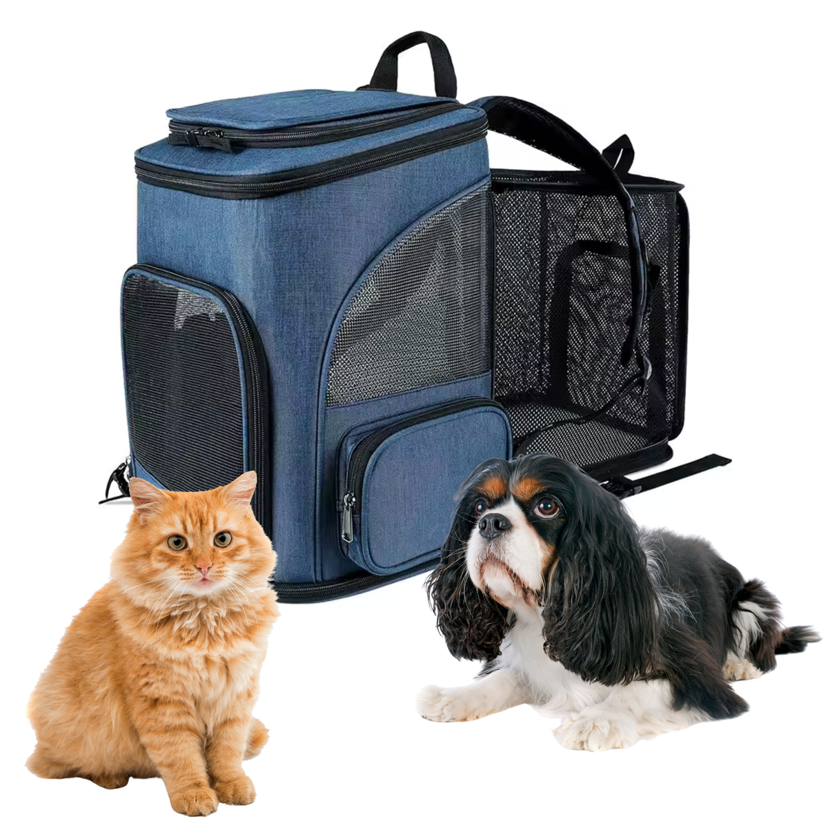 Mochila Transportadora Expandible para Gatos Medianos y Perros de Raza Pequeña
