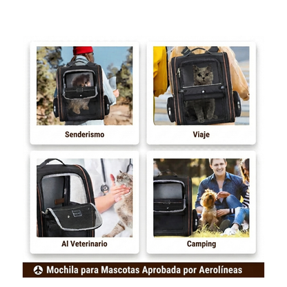 Mochila Expandible para Gatos Medianos y Perros de Raza Pequeña