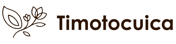 Timotocuica